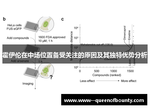 霍伊伦在中场位置备受关注的原因及其独特优势分析