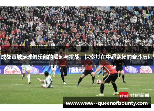 成都蓉城足球俱乐部的崛起与挑战：探索其在中超赛场的奋斗历程